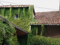 2000 – Rifacimento porzione di tetto in cascina